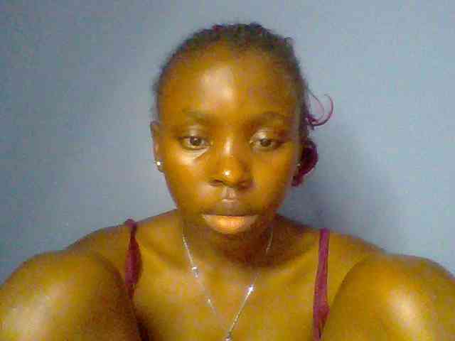 chocolate-brownie webcam