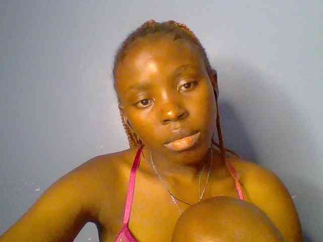 chocolate-brownie webcam