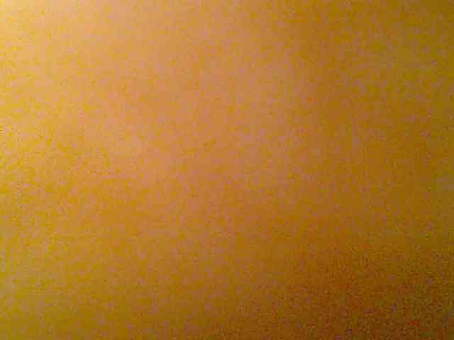 chocolate-brownie webcam