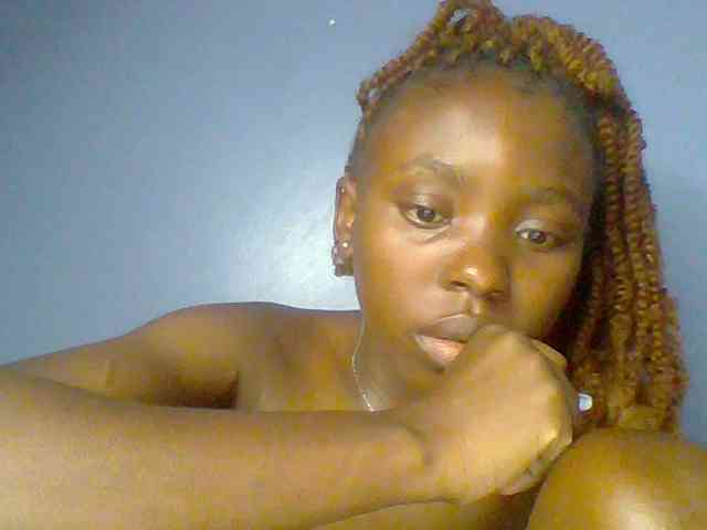 chocolate-brownie webcam