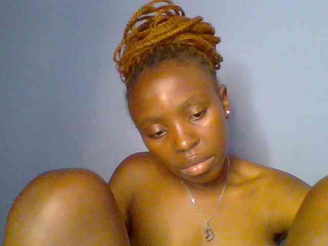 chocolate-brownie webcam