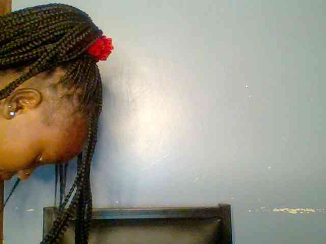 chocolate-brownie webcam