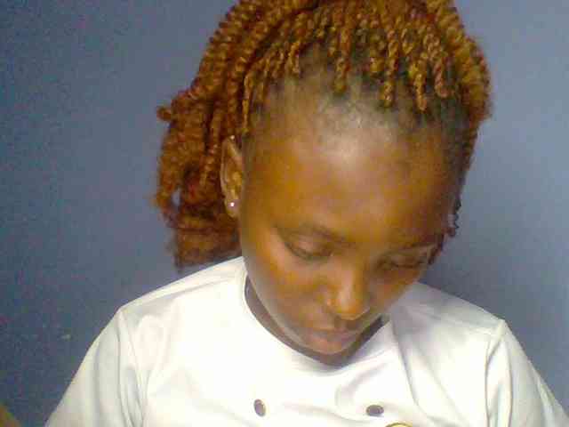 chocolate-brownie webcam