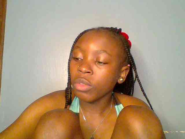 chocolate-brownie webcam