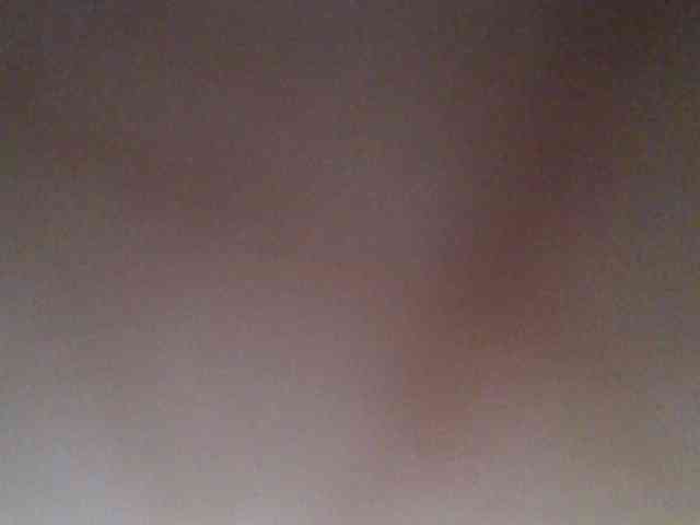 chocolate-brownie webcam