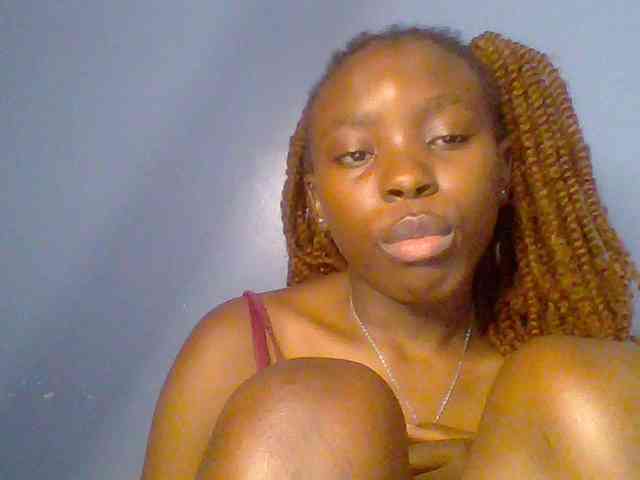 chocolate-brownie webcam