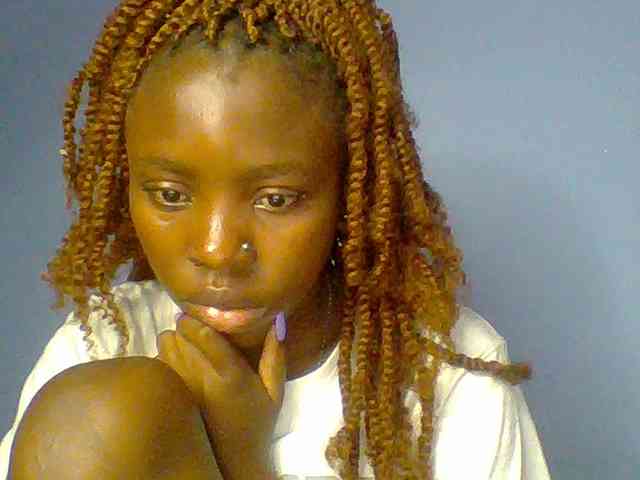 chocolate-brownie webcam