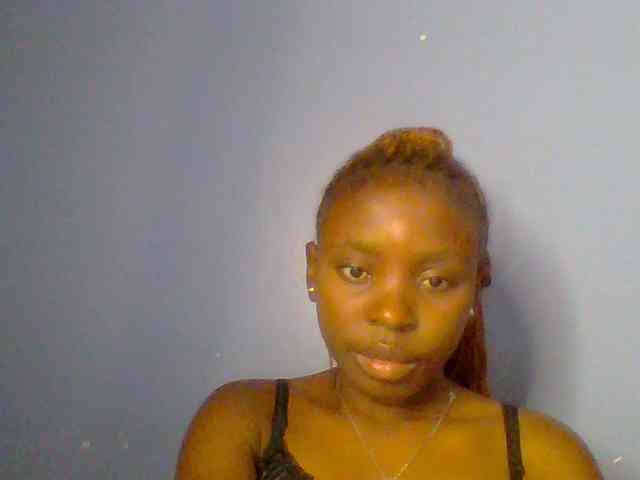 chocolate-brownie webcam