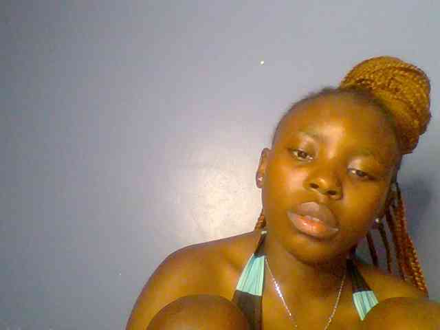 chocolate-brownie webcam