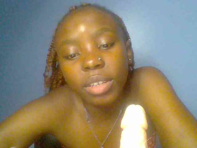 chocolate-brownie webcam