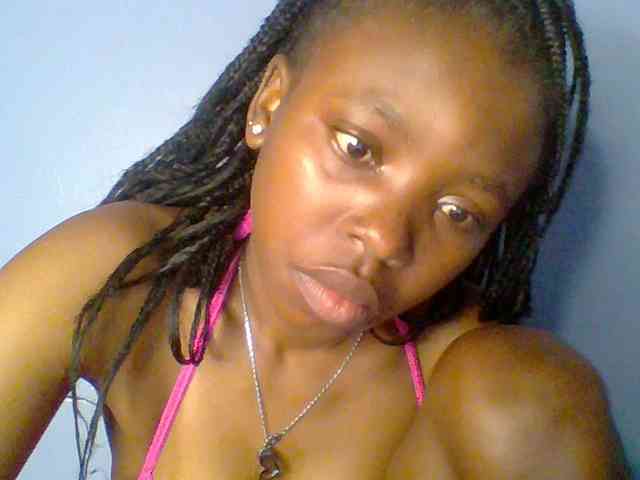 chocolate-brownie webcam