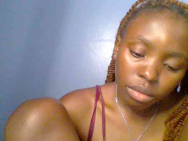 chocolate-brownie webcam