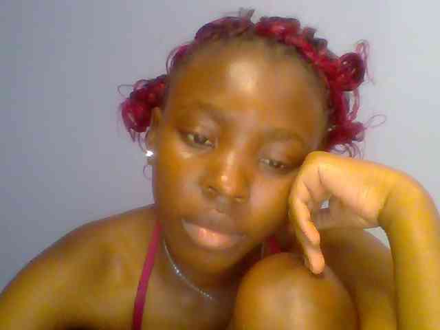 chocolate-brownie webcam