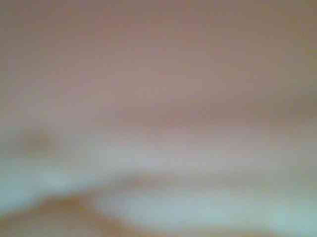 chocolate-brownie webcam