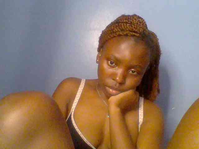 chocolate-brownie webcam