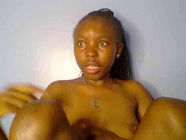 chocolate-brownie webcam