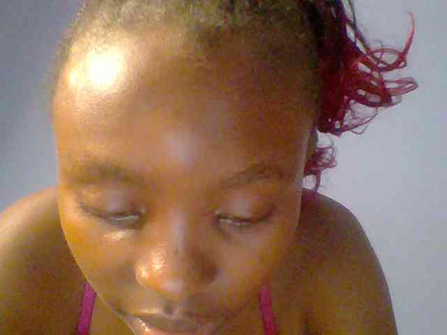 chocolate-brownie webcam