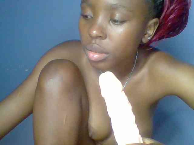 chocolate-brownie webcam