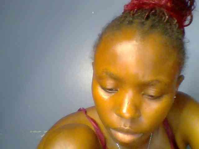 chocolate-brownie webcam