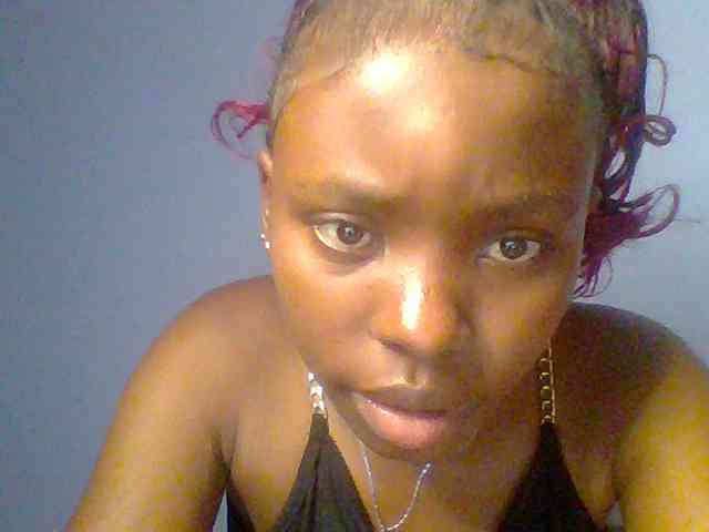 chocolate-brownie webcam