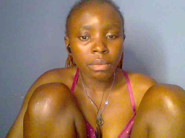chocolate-brownie webcam