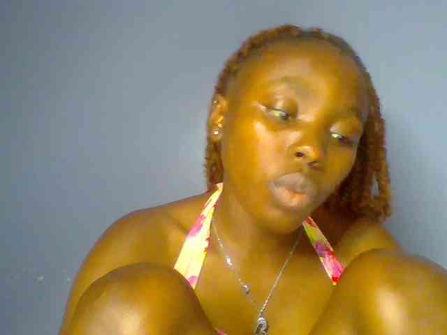 chocolate-brownie webcam