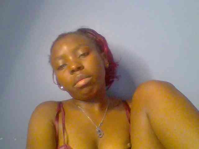 chocolate-brownie webcam