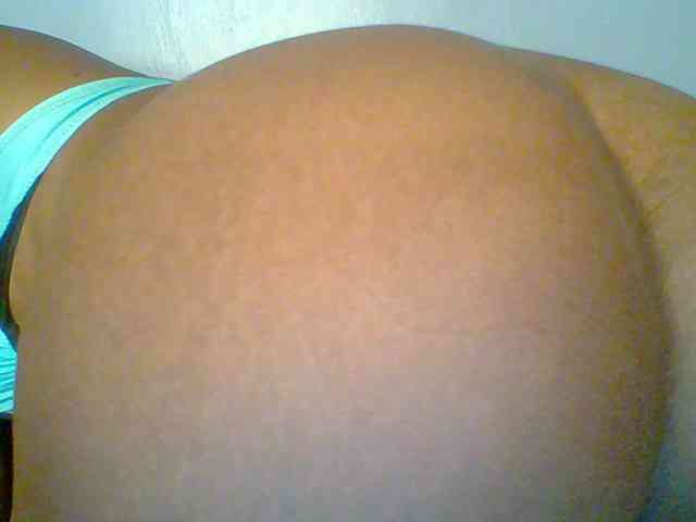 chocolate-brownie webcam