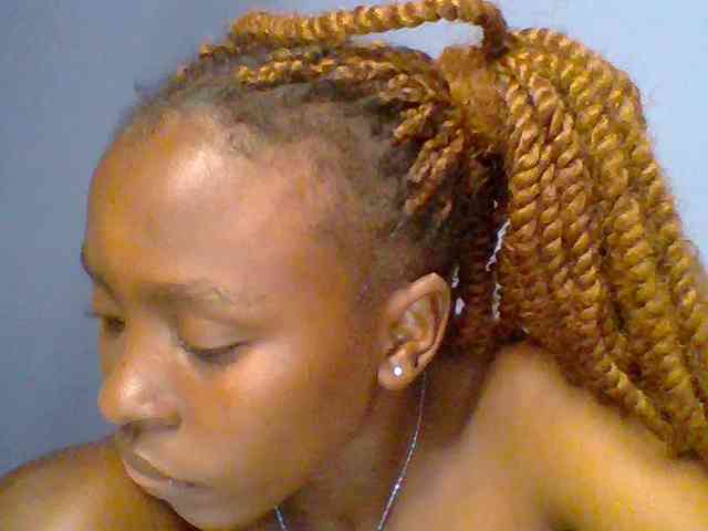 chocolate-brownie webcam