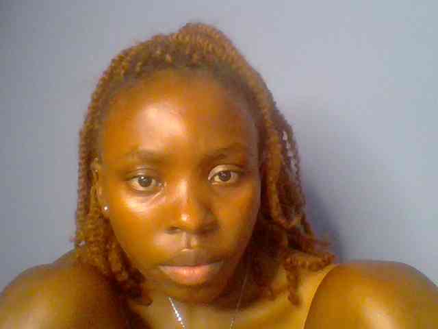chocolate-brownie webcam