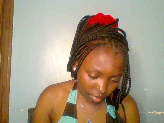 chocolate-brownie webcam