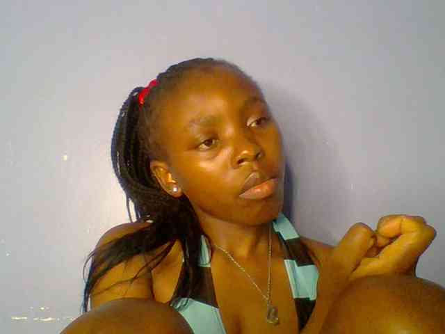 chocolate-brownie webcam