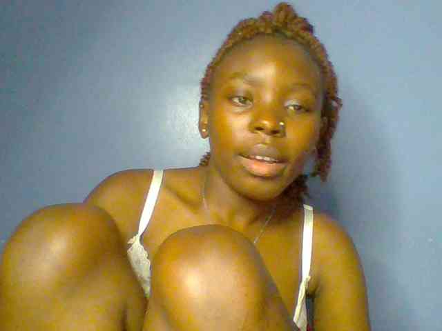 chocolate-brownie webcam