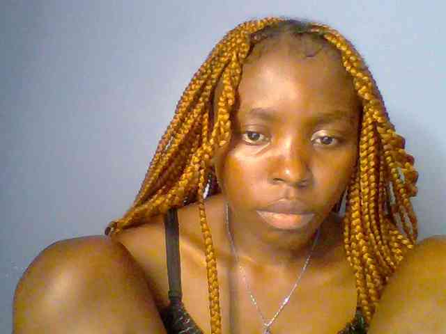 chocolate-brownie webcam