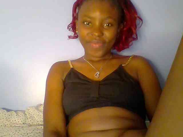 chocolate-brownie webcam