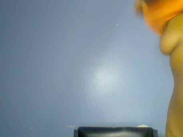 chocolate-brownie webcam