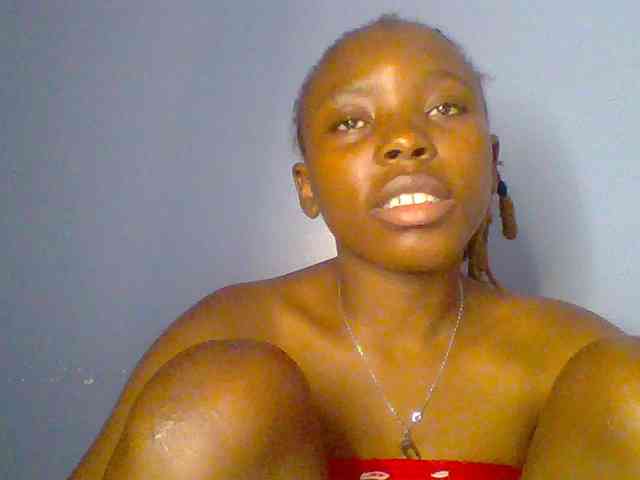 chocolate-brownie webcam