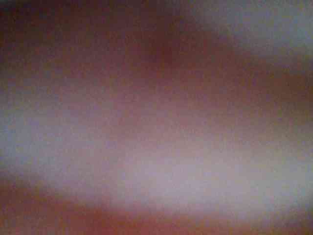 chocolate-brownie webcam
