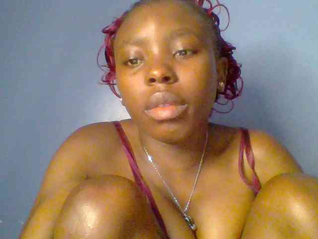 chocolate-brownie webcam