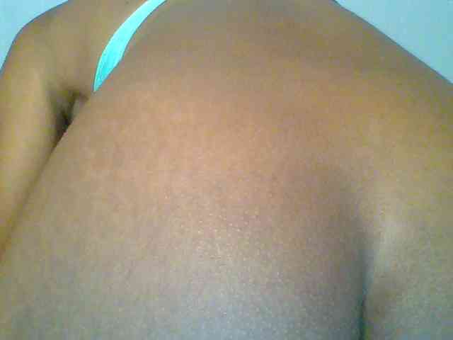 chocolate-brownie webcam