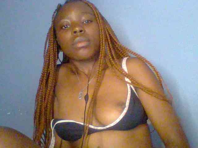 chocolate-brownie webcam