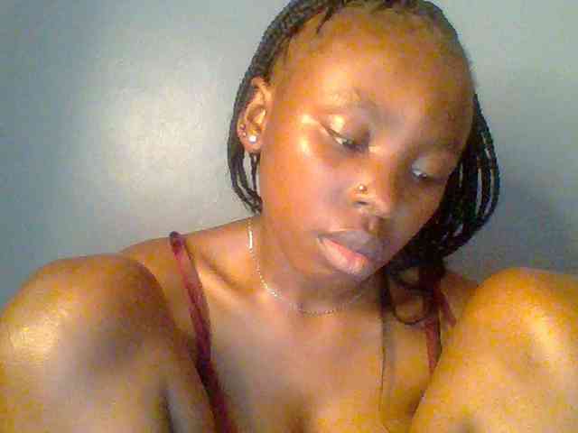 chocolate-brownie webcam