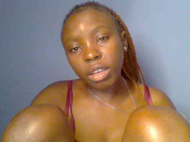 chocolate-brownie webcam