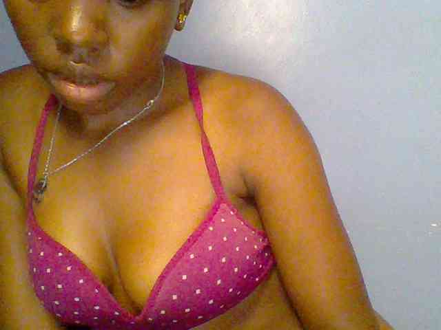 chocolate-brownie webcam