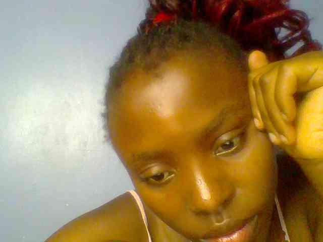 chocolate-brownie webcam