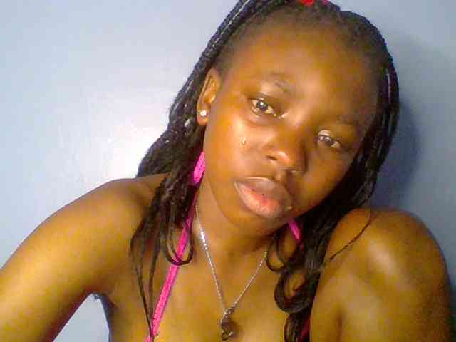 chocolate-brownie webcam