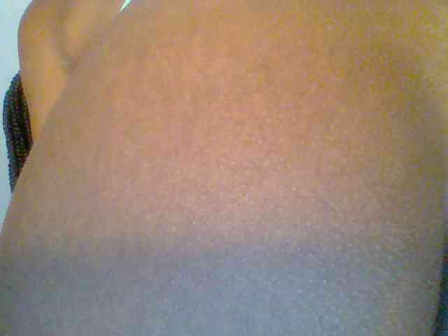 chocolate-brownie webcam