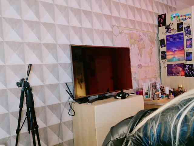 EvaRoss webcam