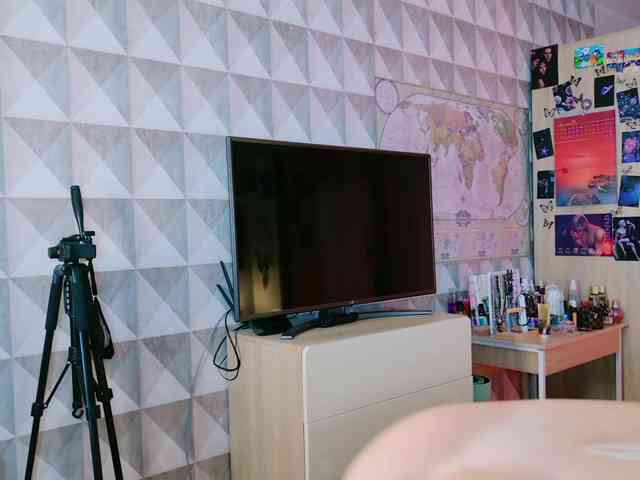 EvaRoss webcam