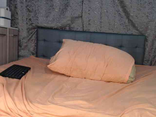 soe-lara webcam